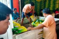 Koperasi Merah Putih Sidodadi Tumbuh Pesat, Bulog Siap Kawal Distribusi Sembako